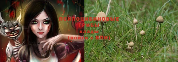 герыч Вяземский