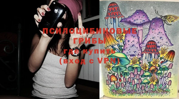 герыч Вяземский