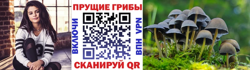 купить наркоту  Ноябрьск  Псилоцибиновые грибы мицелий 