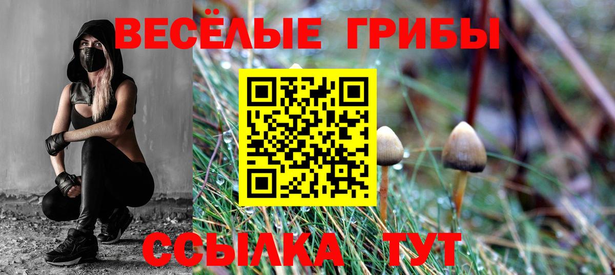 ГАШ Ноябрьск