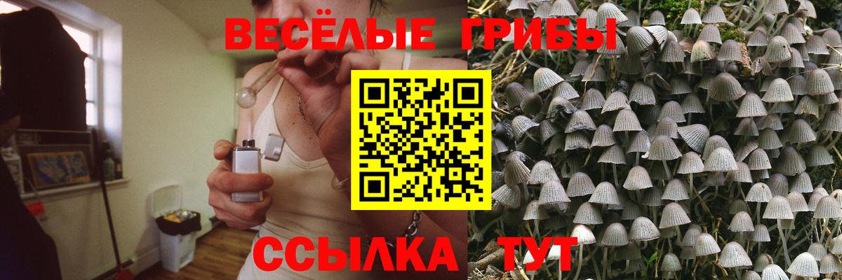 Галлюциногенные грибы прущие грибы  Галлюциногенные грибы MAGIC MUSHROOMS  Ноябрьск  Вход с VPN 